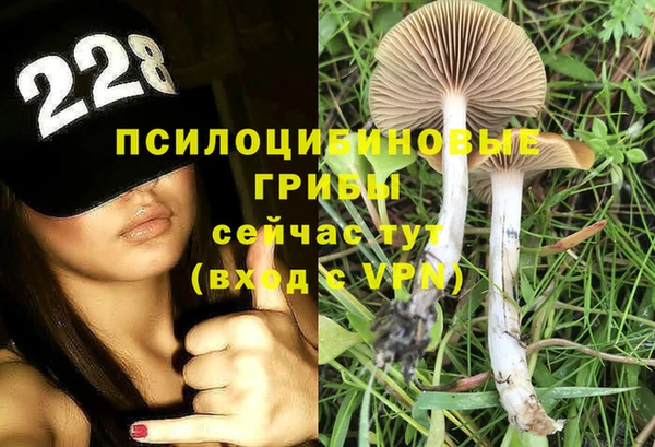 не бодяженный Беломорск