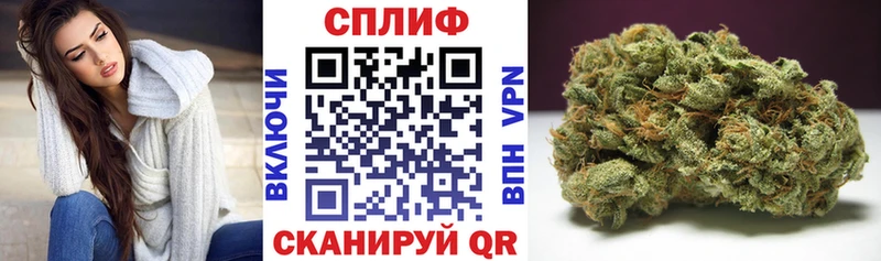 купить наркотик  даркнет какой сайт  Каннабис MAZAR  Невель 